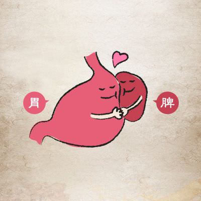 脾胃保健